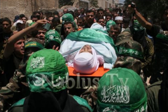 الشهيد محمود عثمان عاصي