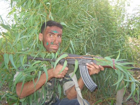 الشهيد محمود نعيم صيام