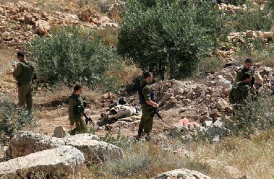 الشهيد عبد المجيد علي دودين