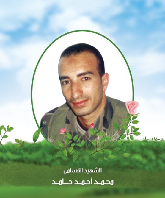 الشهيد القسامي/ محمد أحمد حامد