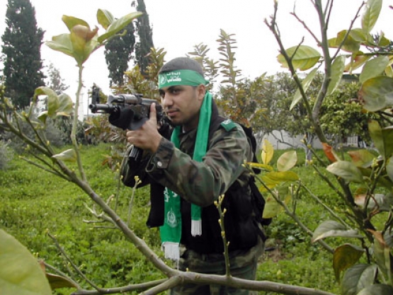 الشهيد  فادى حسن حسنين