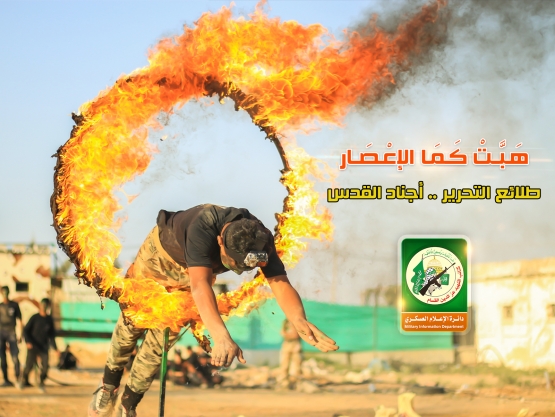 مخيمات طلائع التحرير