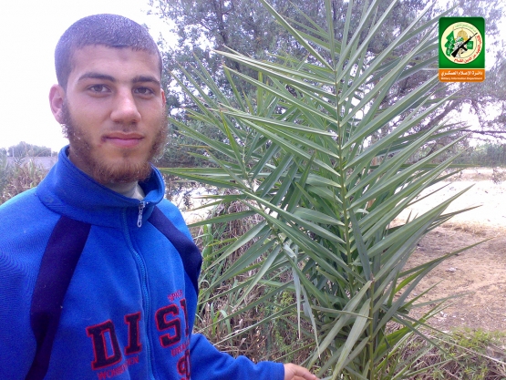 الشهيد القسامي / إبراهيم فريد ماضي