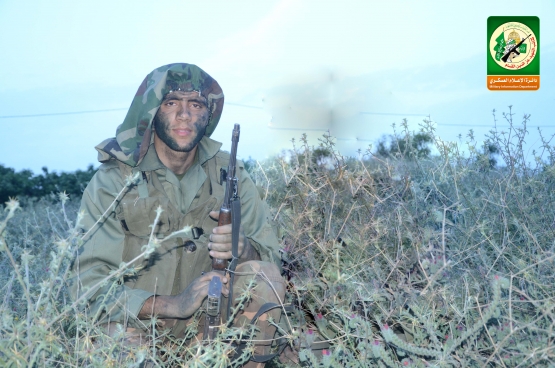 الشهيد القسامي/ إبراهيم محمد ربيع حمدية