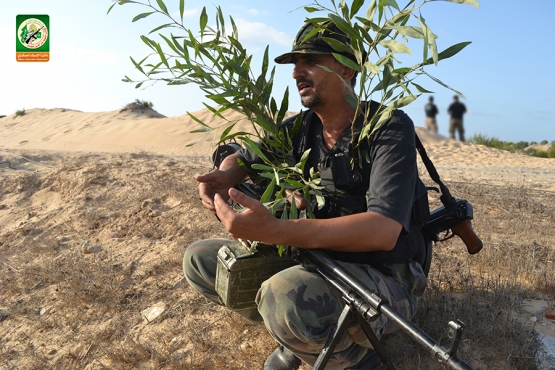 الشهيد القسامي / مصباح الغرباوي