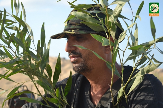 الشهيد القسامي / مصباح الغرباوي