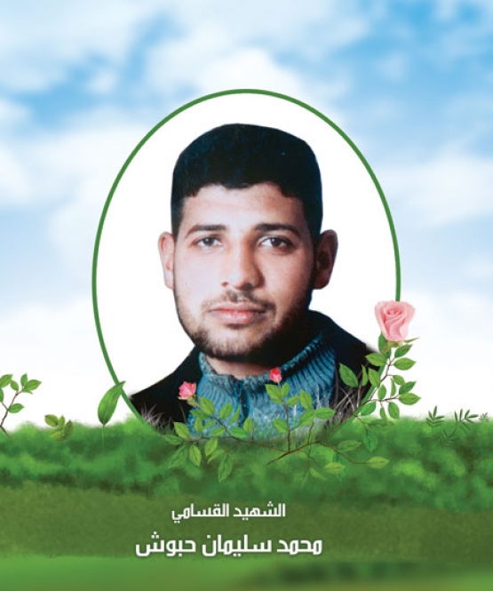 الشهيد القسامي/ محمد سليمان حبوش