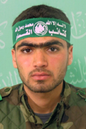 محمد عبد الحميد شبير